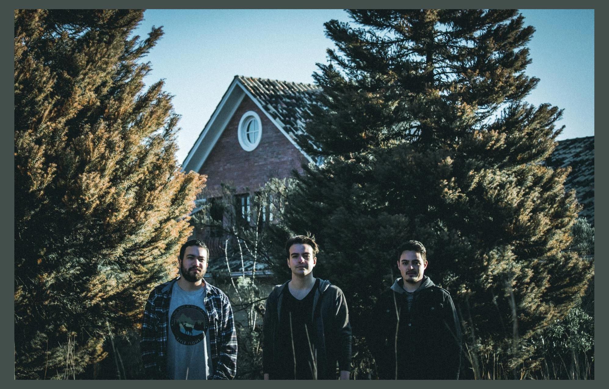 Behold the Pines
